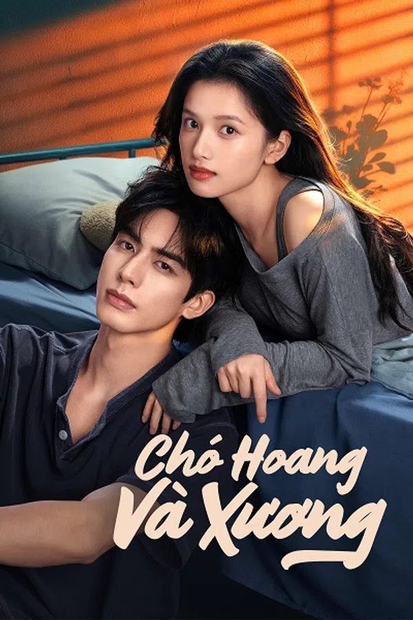 Poster phim Chó Hoang Và Xương trên RoPhim