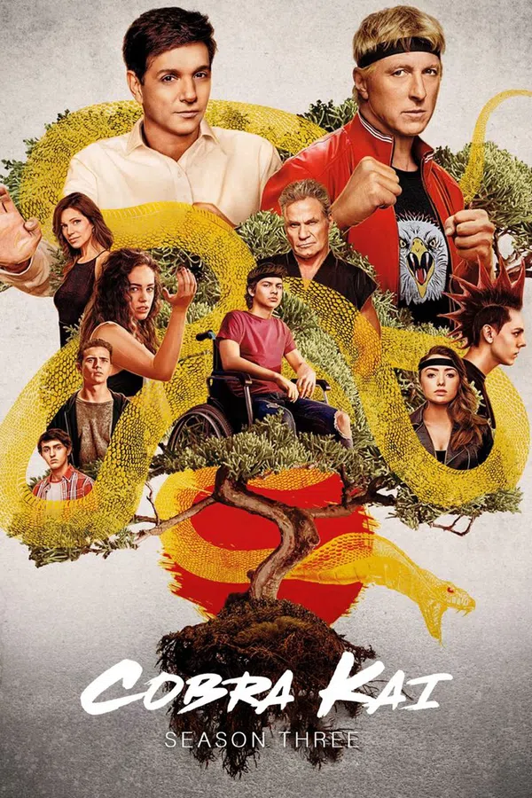 Poster phim Võ Đường Cobra Kai (Phần 3) trên RoPhim